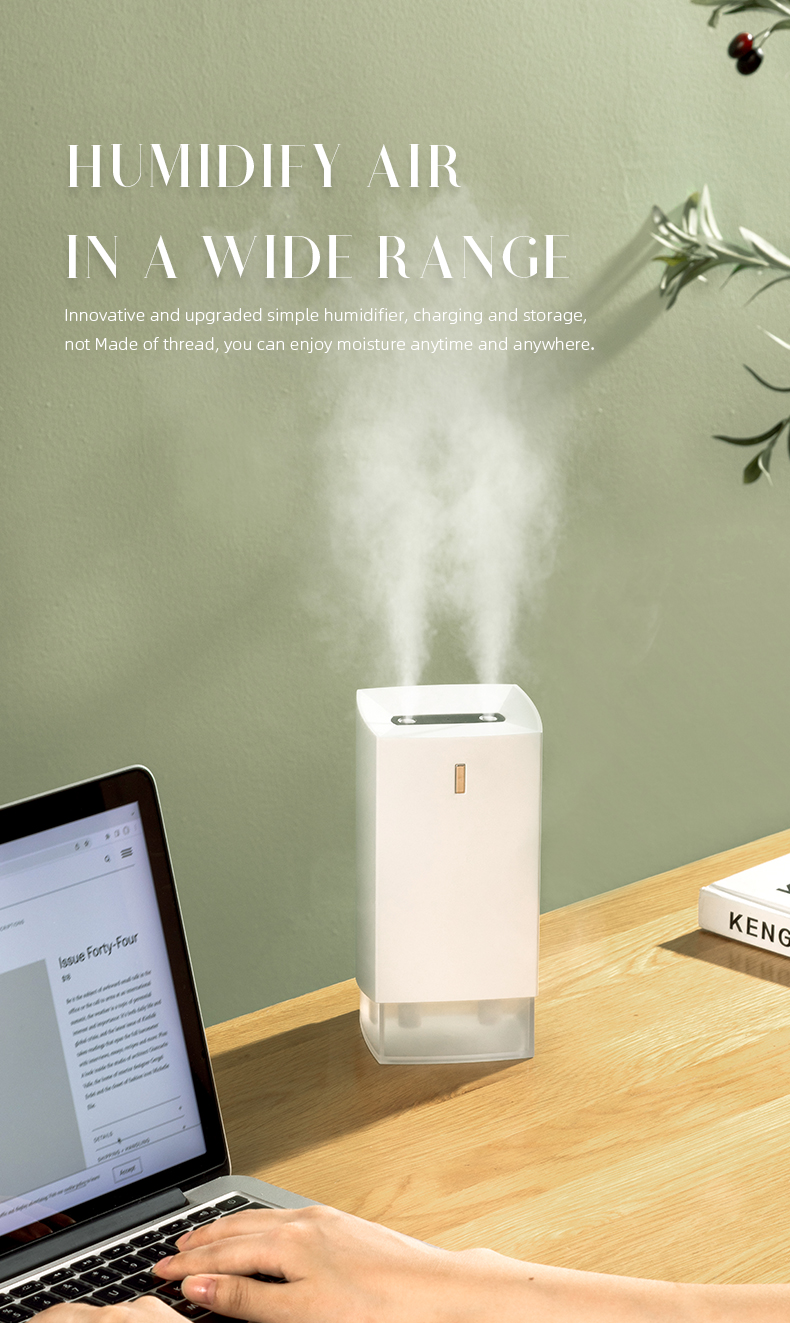 mini humidificateur (3) 