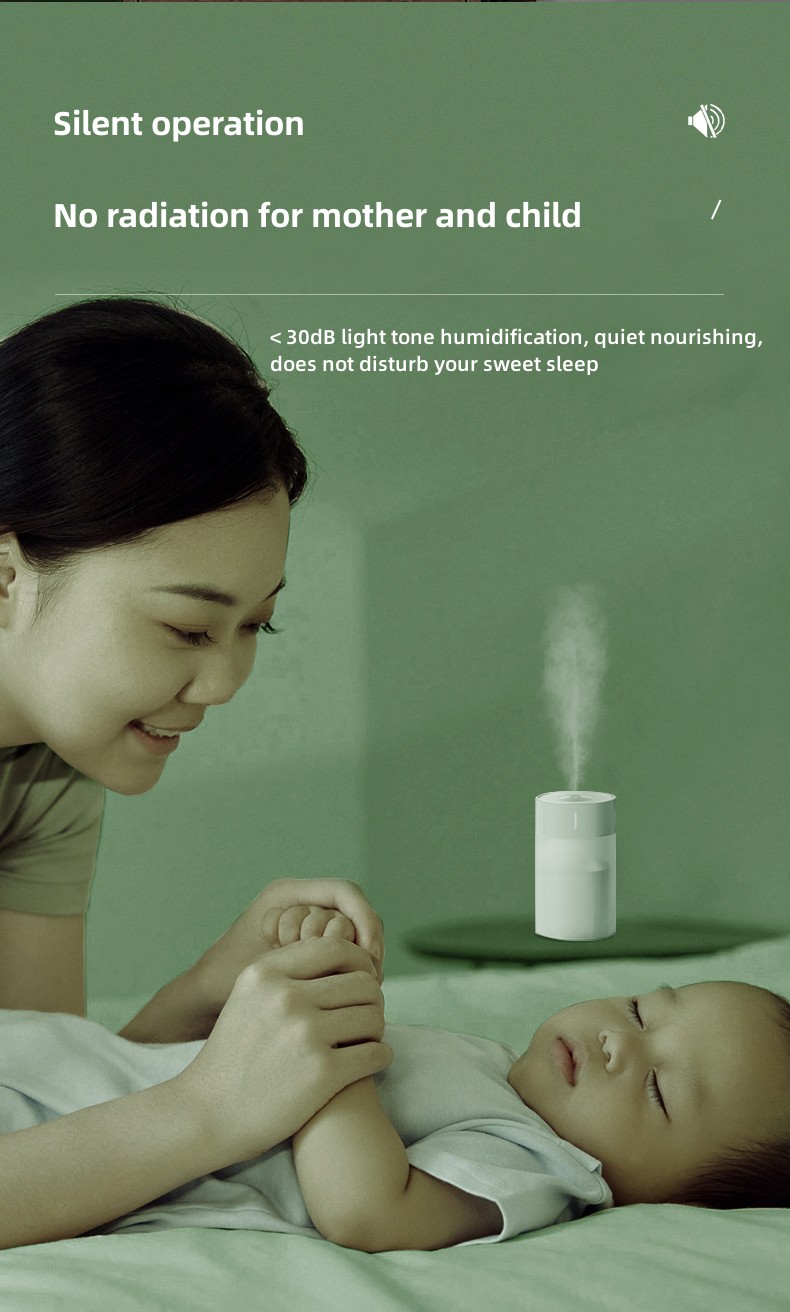 Humidificateur (11) 