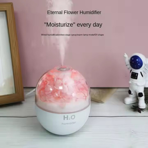 Mini humidificateur à brume USB, Portable, créatif, fleur perpétuelle, pour voiture