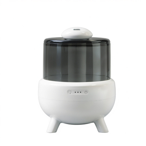 Humidificateur compact de lumière de nuit d'arome de bureau de l'ultrason 2L